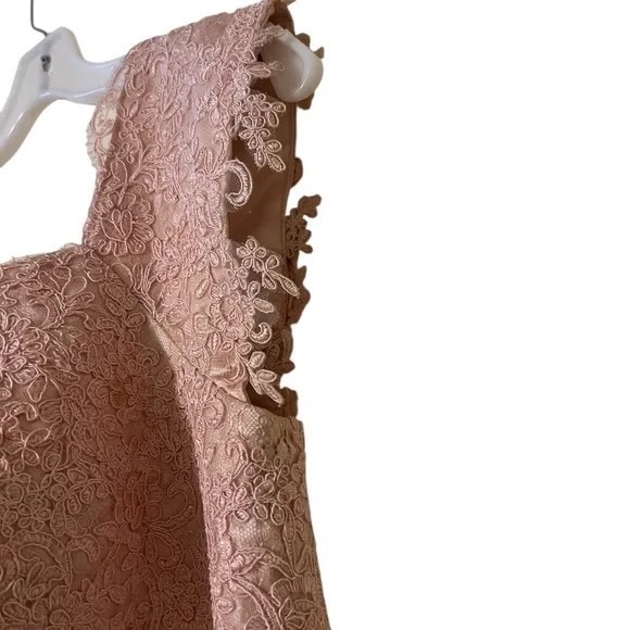 Hebeos A-line Women's Pink Lace Overlay, Cocktail/Party Dress SEE MEASUREMENTS - Picture 11 of 15